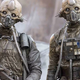 Benthic and his eggmate Edrio, as they appeared in Rogue One: A Star Wars Story.